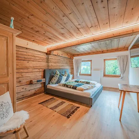 Hohe Salve 2 Appartement Hopfgarten im Brixental